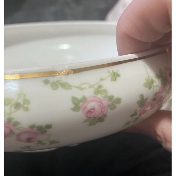 Antique Pirkenhammer Brezova "pink floral" Vegetable Tureen, "4338"- 1920 Design - Picture 16 of 16